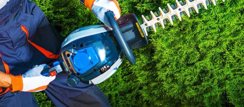 Hedge Trimming - Tree Removal | Stump Removal | Pruning & Hedges ...