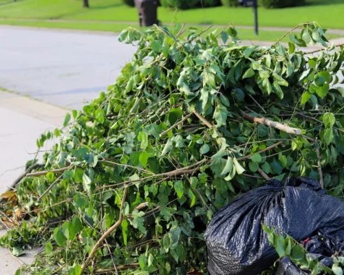 Site-Clean-Up-after-trimming