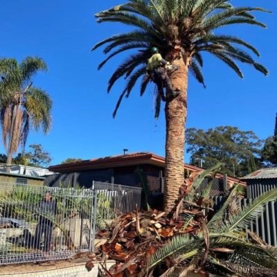 WhatsApp Image 2025-11-13 at 3.33.13 PM (1)